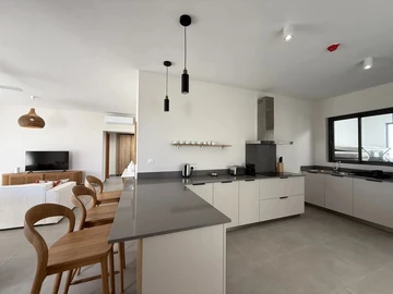 2 Bedroom Penthouse