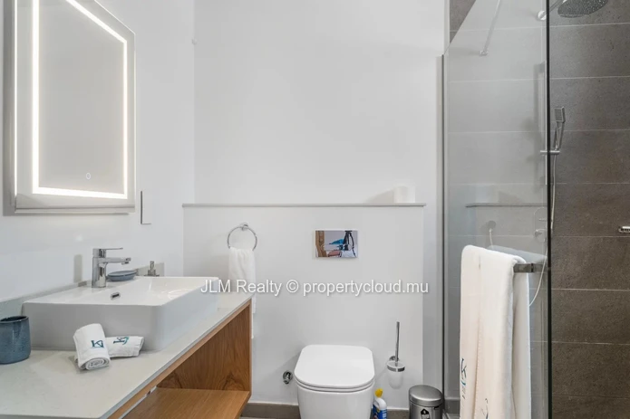 Modern Penthouse with Private Pool and Rooftop for Rent in Pereybère, Mauritius