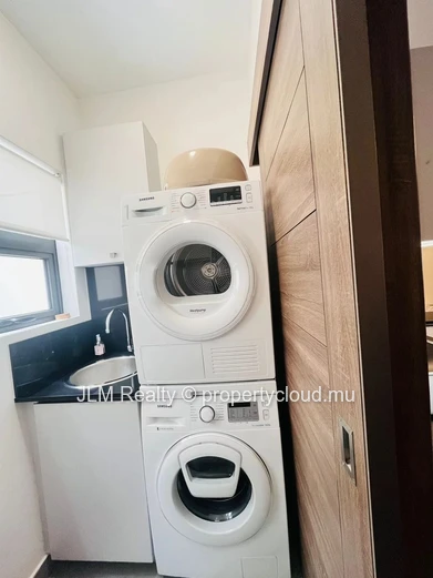 Modern 2-Bedroom Penthouse with Panoramic Park Views for Rent in Phoenix, Mauritius