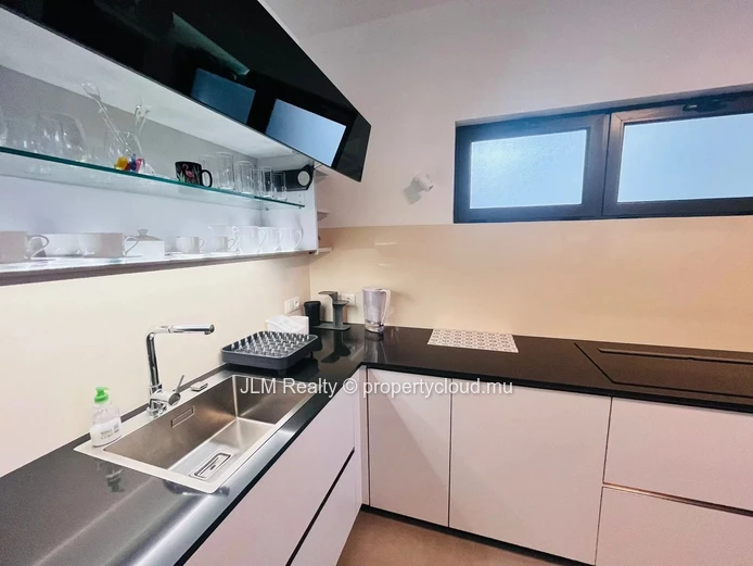 Modern 2-Bedroom Penthouse with Panoramic Park Views for Rent in Phoenix, Mauritius